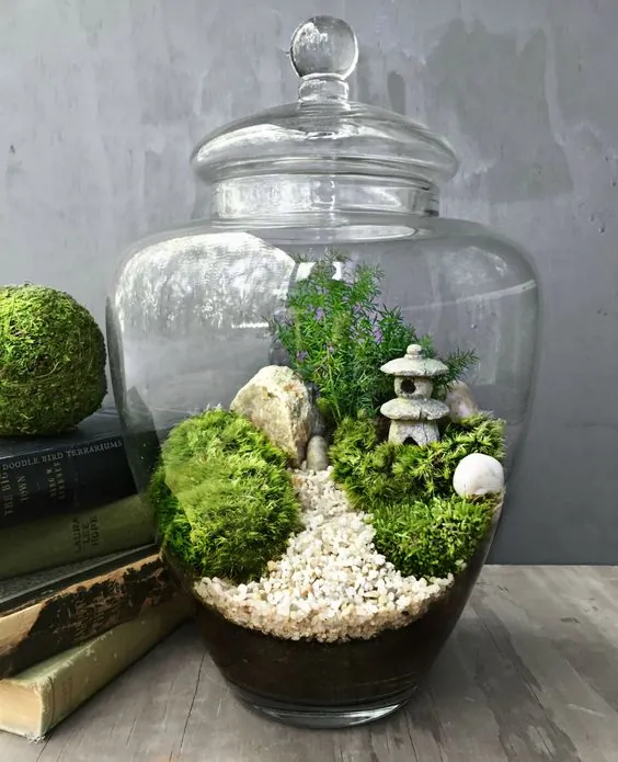 Terrário Japonês