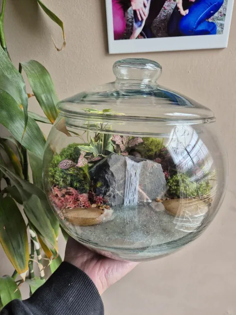 Terrário Modelo 2