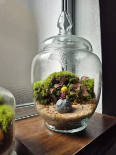 Terrário Modelo 4