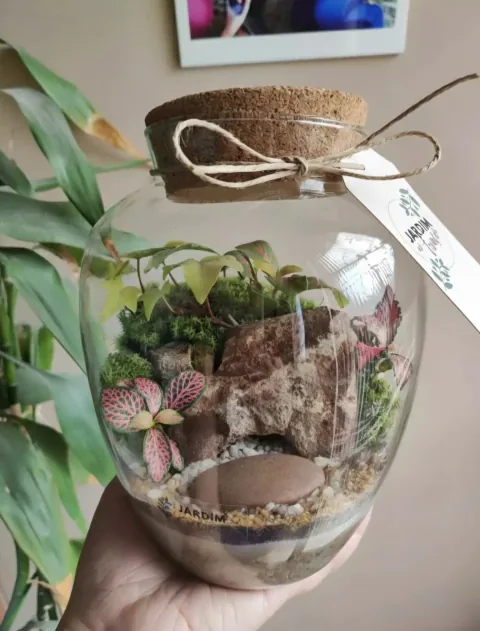 Terrário Modelo 5