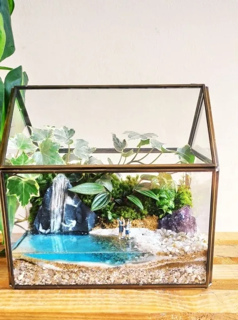 Terrário Modelo 6