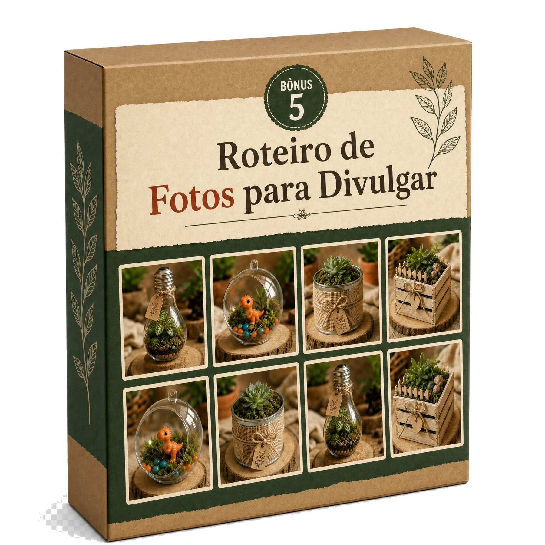 Box 3D do bônus Roteiro de Fotos para Divulgar