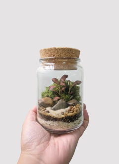 Mini terrário em potinho com tampa de cortiça, segurado na mão