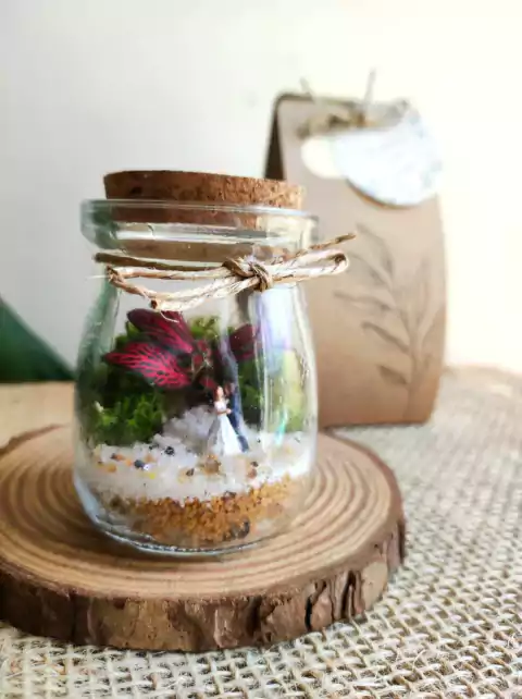 Mini terrário real com folhagem vermelha, feito a partir do catálogo